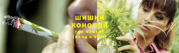 молекула духа Пестово