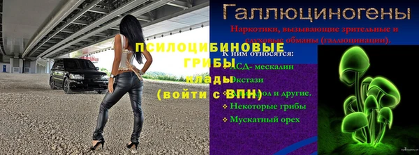 молекула духа Пестово