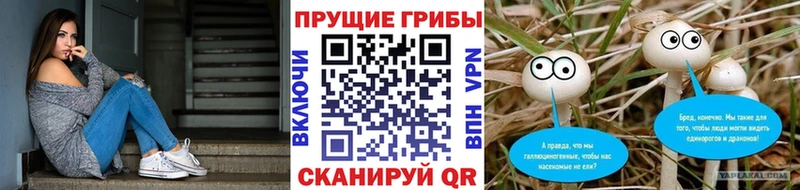 наркошоп  kraken ССЫЛКА  Галлюциногенные грибы мухоморы  Кирово-Чепецк 