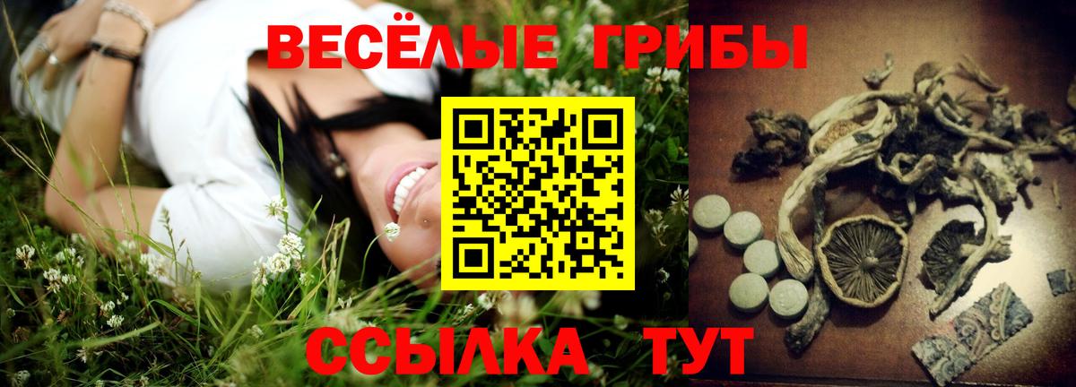 Галлюциногенные грибы Cubensis  Галлюциногенные грибы Cubensis  Вход с VPN  Кирово-Чепецк 